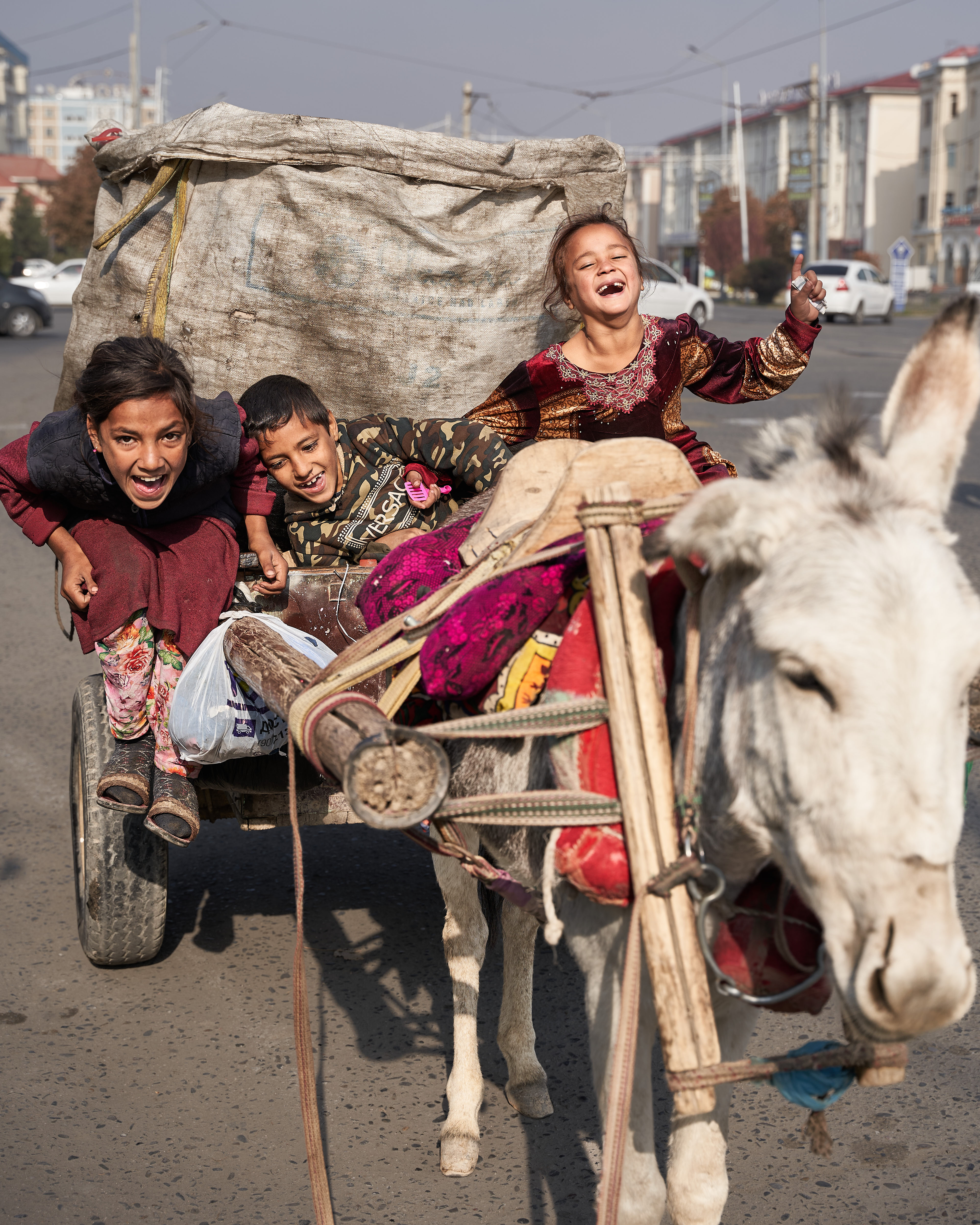 3 gypsy children collecting garbage on a donkey in Uzbekistan